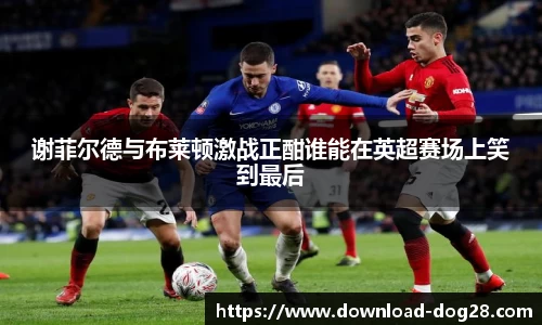 谢菲尔德与布莱顿激战正酣谁能在英超赛场上笑到最后