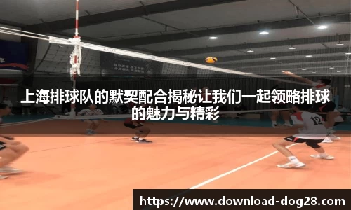 上海排球队的默契配合揭秘让我们一起领略排球的魅力与精彩